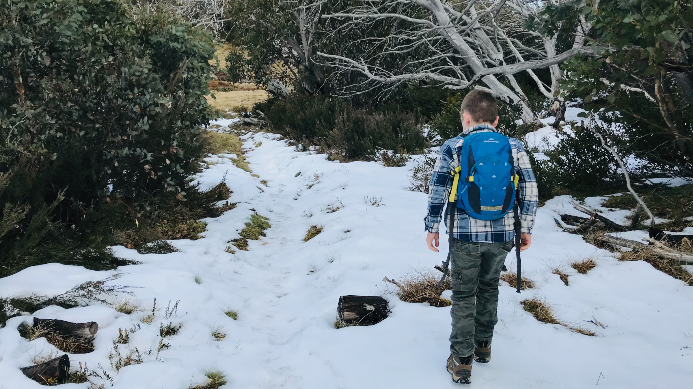 Spring | Mount Buffalo | Victoria's High Country, Australia