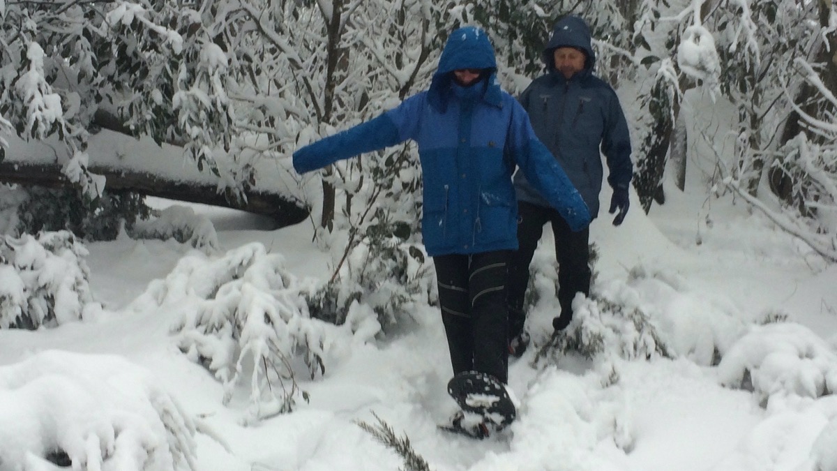 Snowshoe Rambles | Visit Mount Buffalo | Victoria's High Country