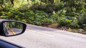 Getting Here | Visit Mount Buffalo | Victoria's High Country