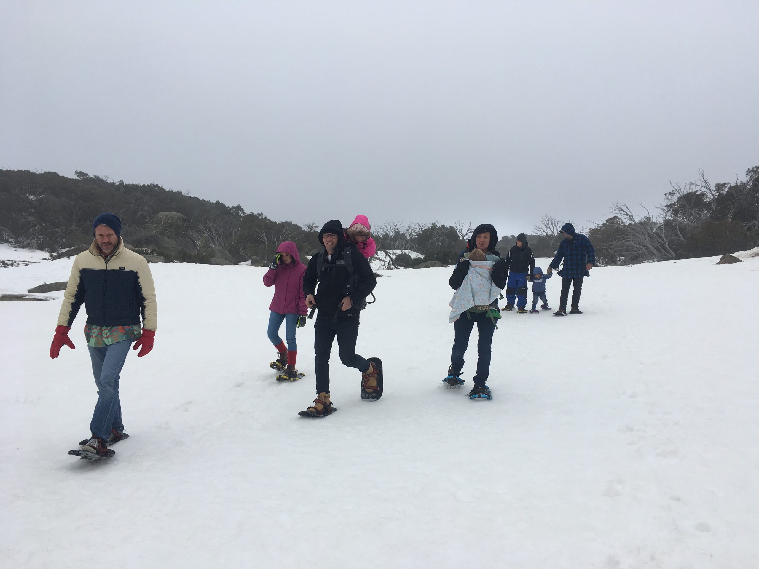 Snowshoe Hike