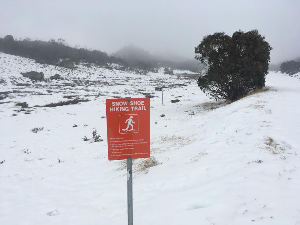 Snowshoe trail